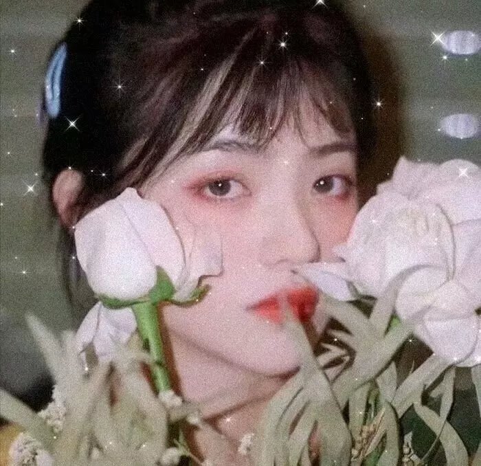 代表小姐